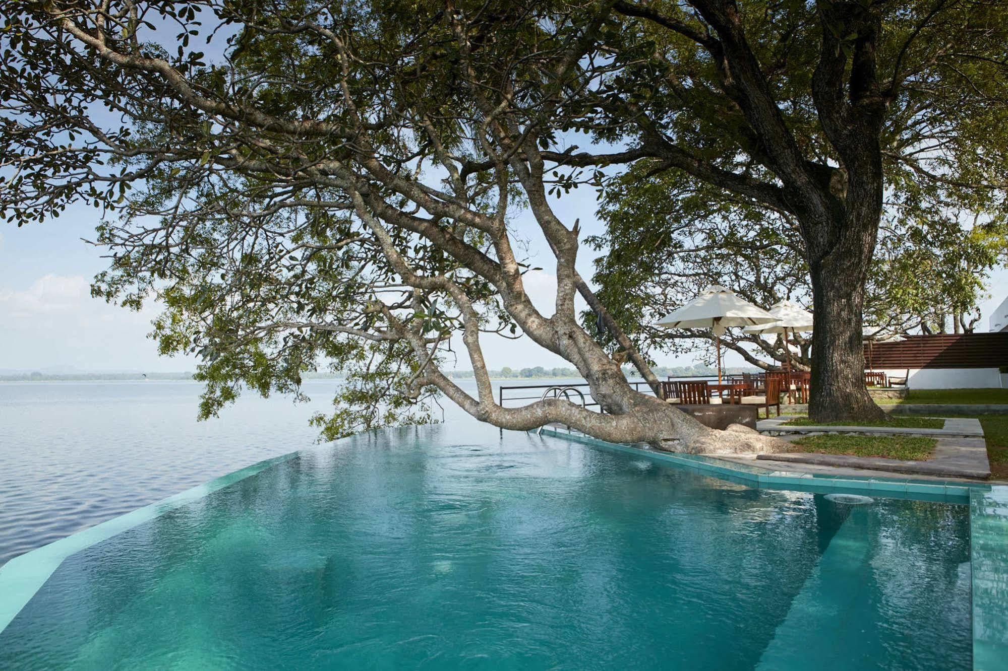 เอกโด เลค เฮาส์ โปลอนนารุวา Hotel โปลอนนารูวา ภายนอก รูปภาพ